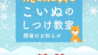 イベント　12月のパピーパーティ〜仔犬のしつけ教室開催のお知らせ