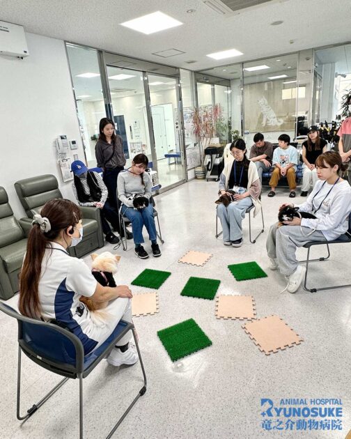 2025年10月のパピパ