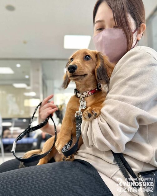 2025年11月のパピーパーティーの様子