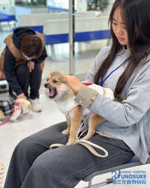2025年11月のパピーパーティーの様子