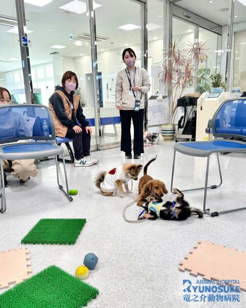 2025年11月のパピーパーティーの様子