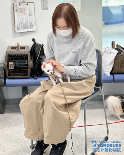 2025年11月のパピーパーティーの様子