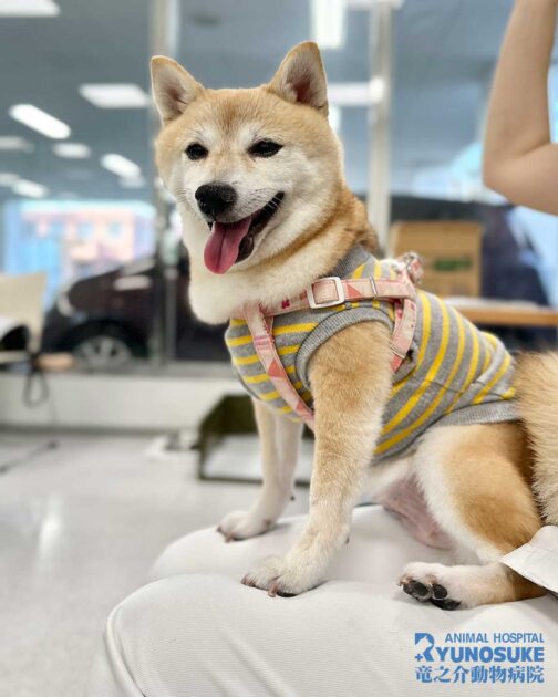 2025年12月のパピーパーティー