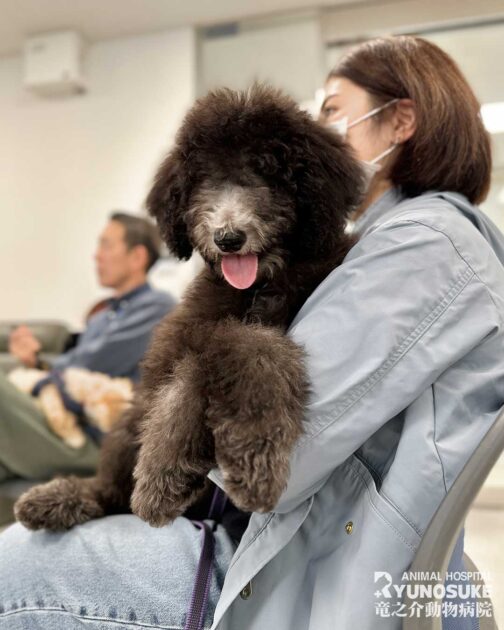 2025年12月のパピーパーティー