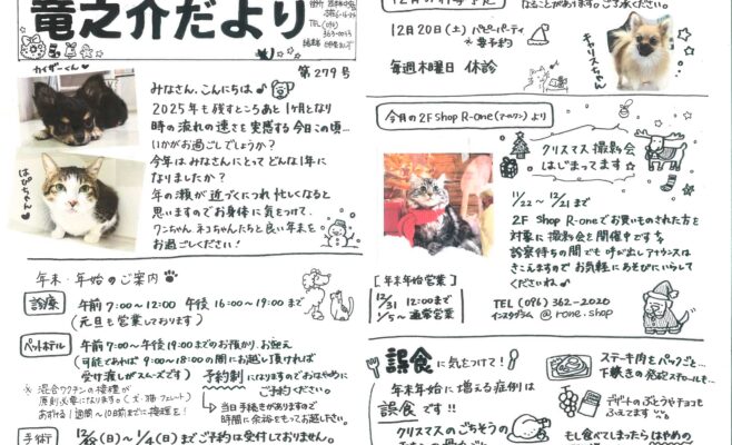 竜之介だより12月