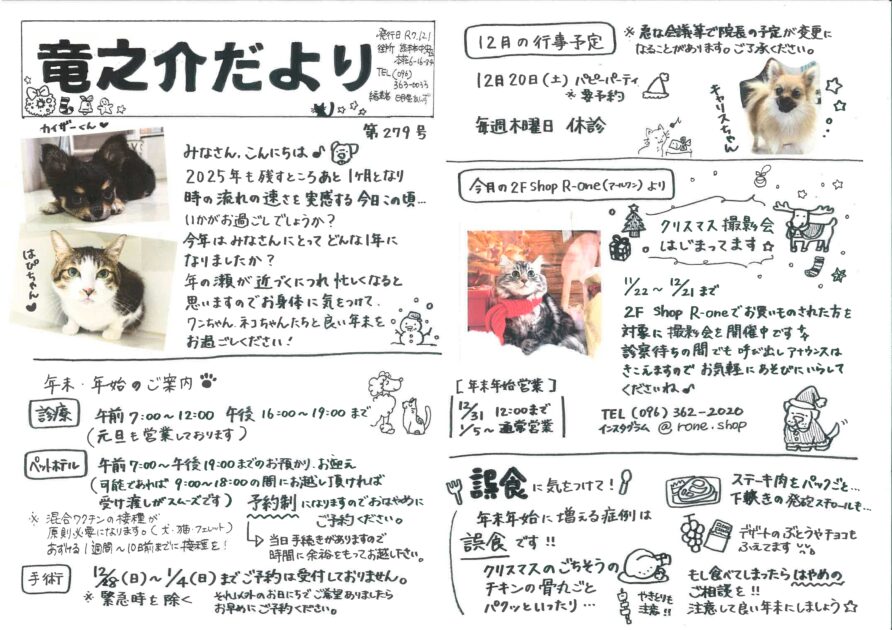 竜之介だより12月