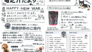 2026年1月 竜之介だより第280号