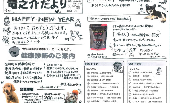 竜之介だより2026年１月