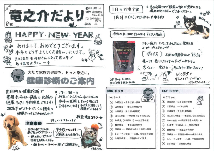 竜之介だより2026年１月