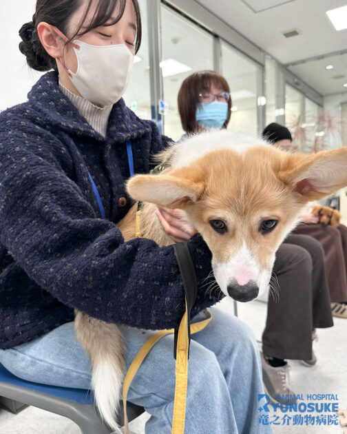 2026年1月パピパ