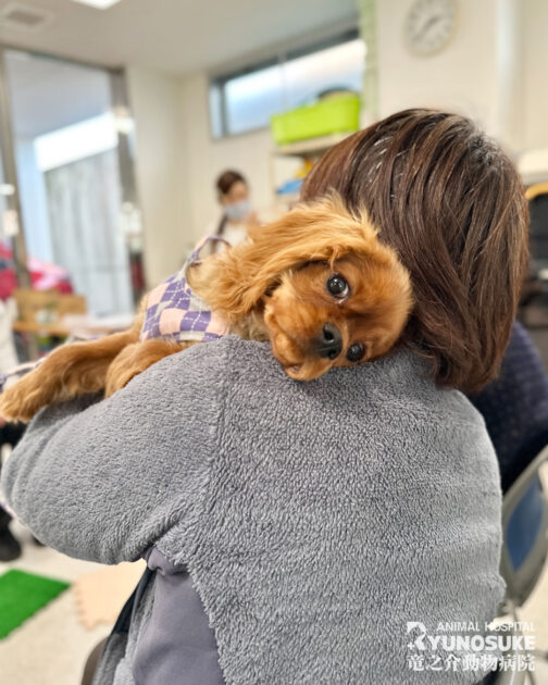 2026年1月パピパ