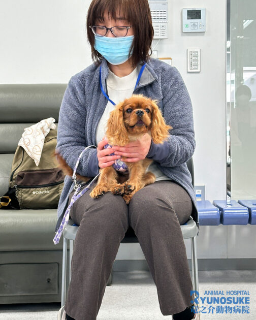 2026年1月パピパ