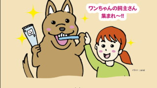 初心者向け〜歯みがき教室開催のお知らせ〜