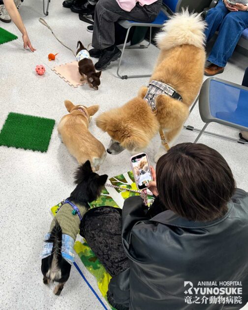 2026年2月のパピーパーティー