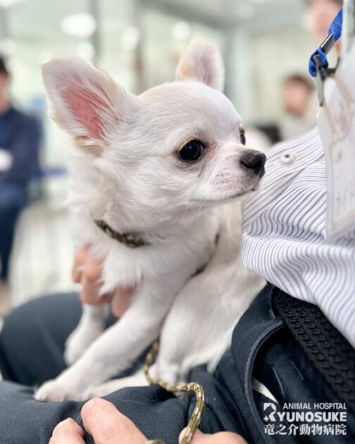 2026年2月のパピーパーティー