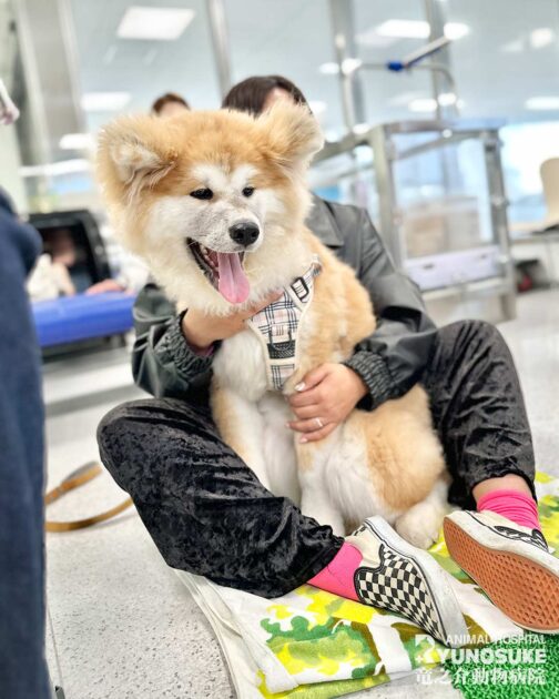 2026年2月のパピーパーティー