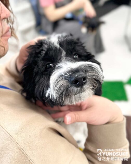 2026年2月のパピーパーティー