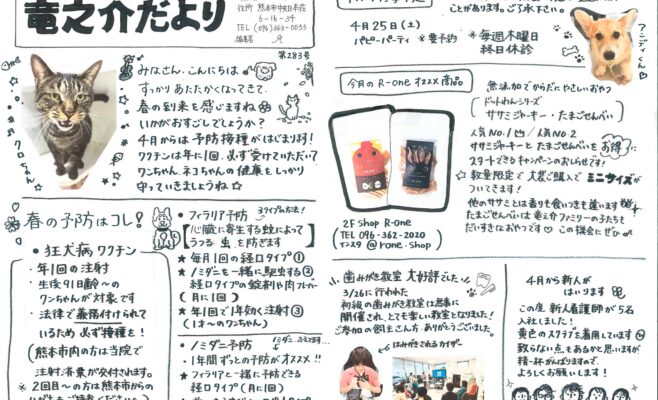 竜之介だより2026年4月ごう