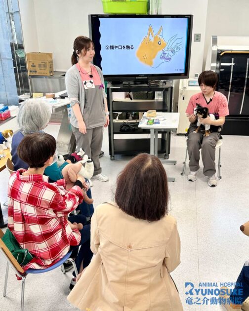 歯みがき教室2026