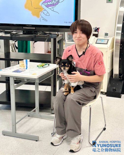 歯みがき教室2026