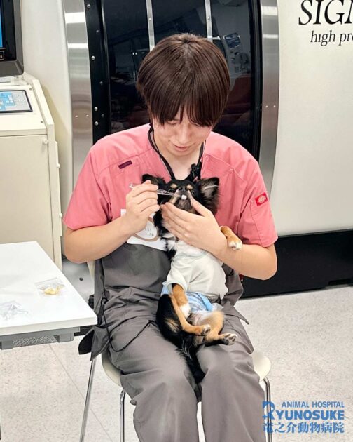 歯みがき教室2026