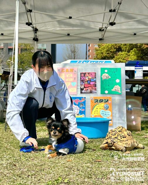 お仕事フェスタ