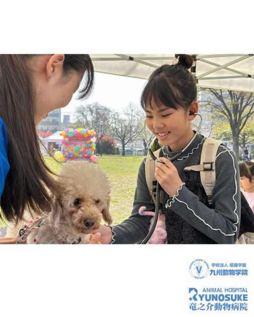 お仕事フェスタ