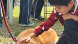 くまもと未来のしごとフェスタin白川公園