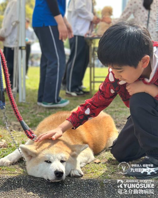 お仕事フェスタ