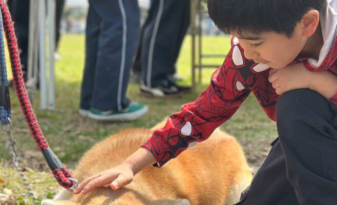 お仕事フェスタ