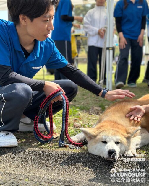 お仕事フェスタ
