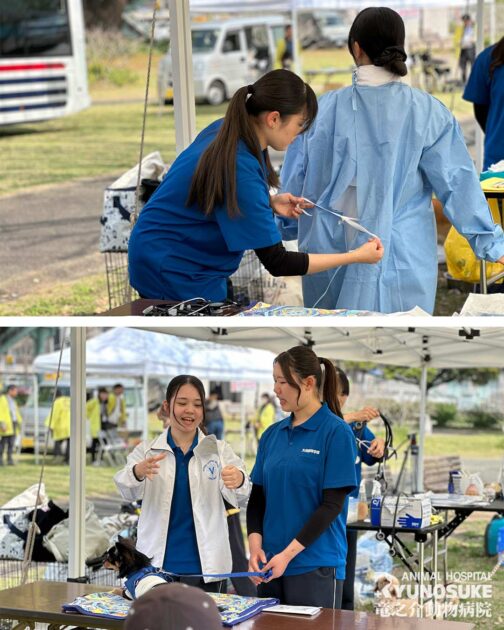 お仕事フェスタ