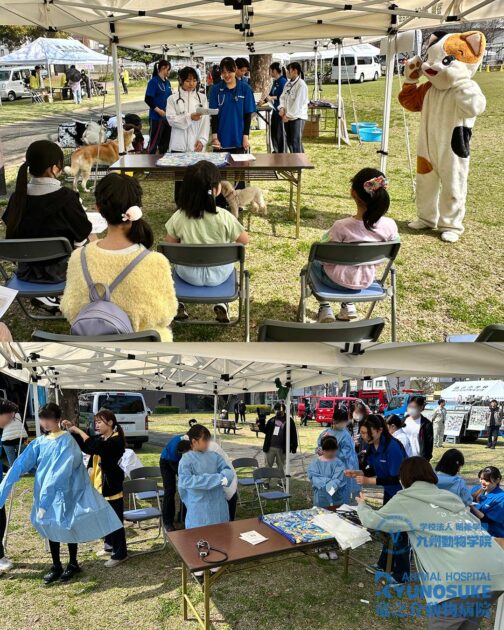 お仕事フェスタ