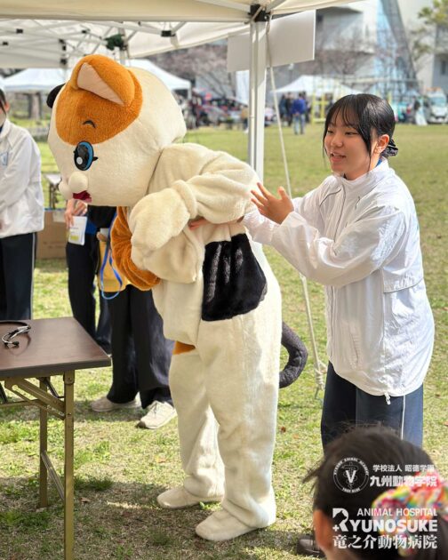 お仕事フェスタ