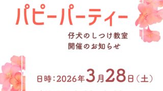 3月-パピーパーティー開催のお知らせ