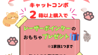 ネコちゃんのノミ・マダニ予防