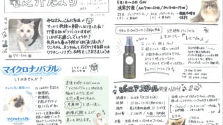 2026年5月 竜之介だより第284号