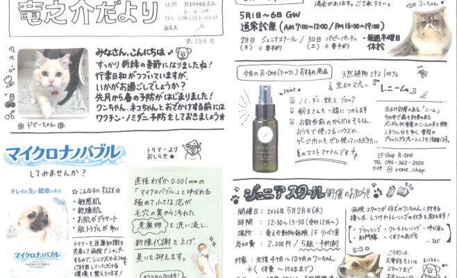 5月の竜之介だより