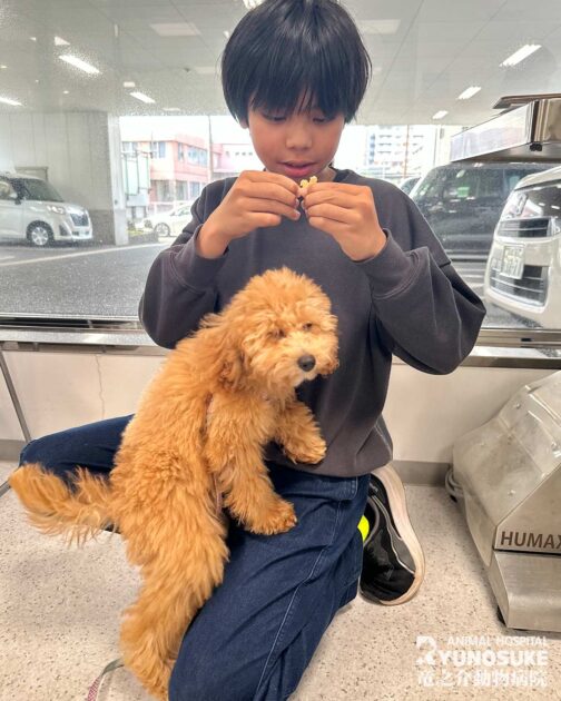 202603パピーパーティー