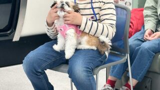 イベント-パピーパーティー開催、無事終了しました。2026.3.28(土曜)