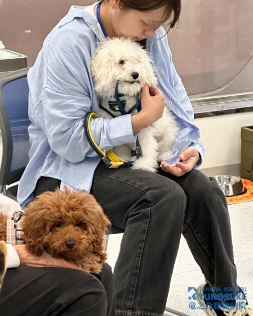 2026年4月のパピーパーティー