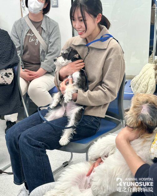 202603パピーパーティー