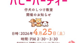 4月-パピーパーティー開催のお知らせ