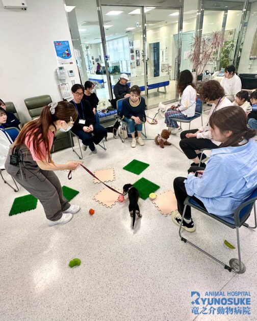 2026年4月のパピーパーティー