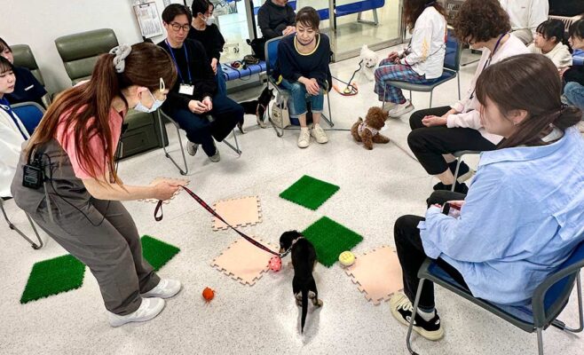 2026年4月のパピーパーティー