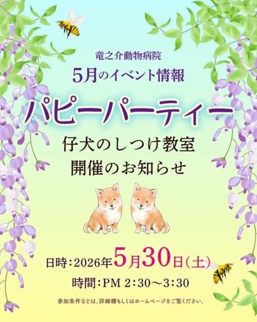 2026年5月のパピーパーティー