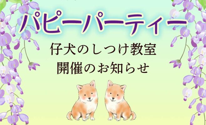 2026年5月のパピーパーティー