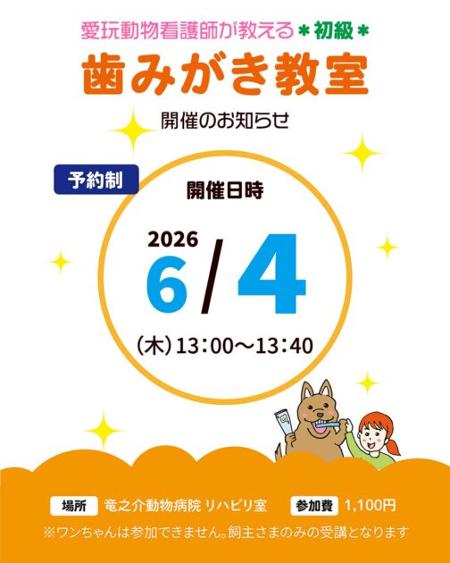 歯みがき教室2026年6月