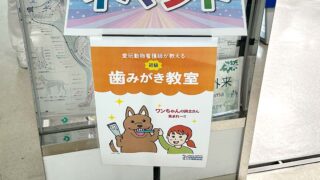 イベント-初心者向け〜歯みがき教室、無事開催できました