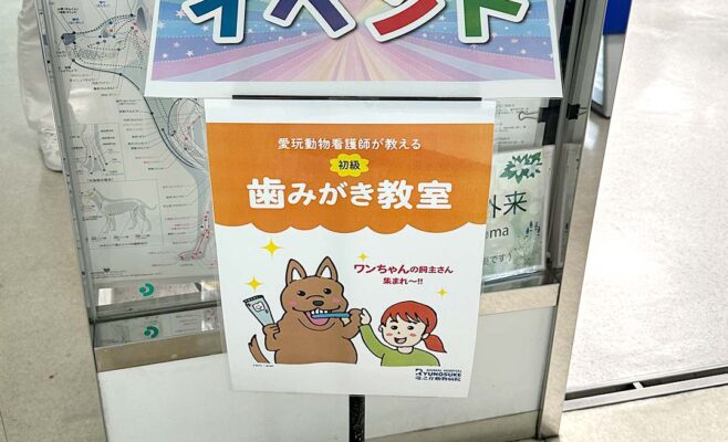 2026年6月歯みがき教室